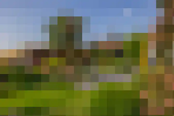 1e Kruisweg 28 Oud-Beijerland thumbnail 63