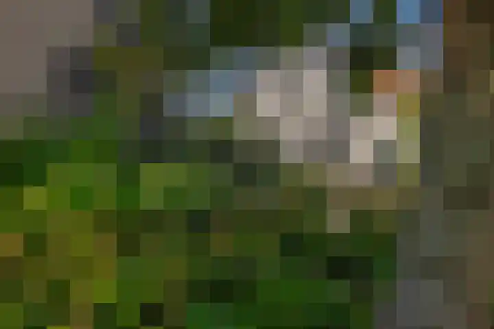 1e Kruisweg 28 Oud-Beijerland thumbnail 7