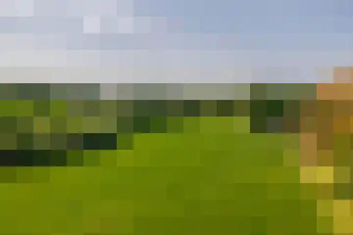 1e Kruisweg 28 Oud-Beijerland thumbnail 71