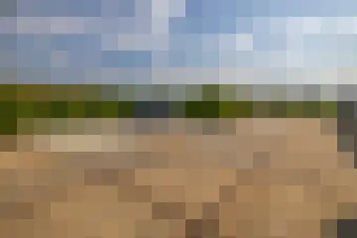 1e Kruisweg 28 Oud-Beijerland thumbnail 75