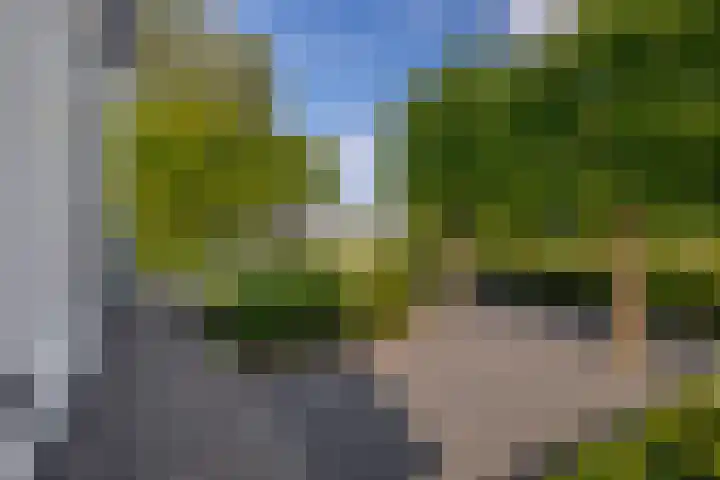 1e Kruisweg 28 Oud-Beijerland thumbnail 8