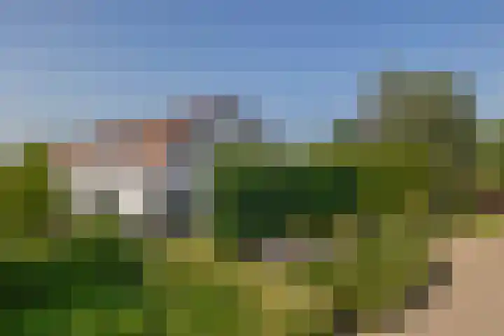 1e Kruisweg 28 Oud-Beijerland thumbnail 9