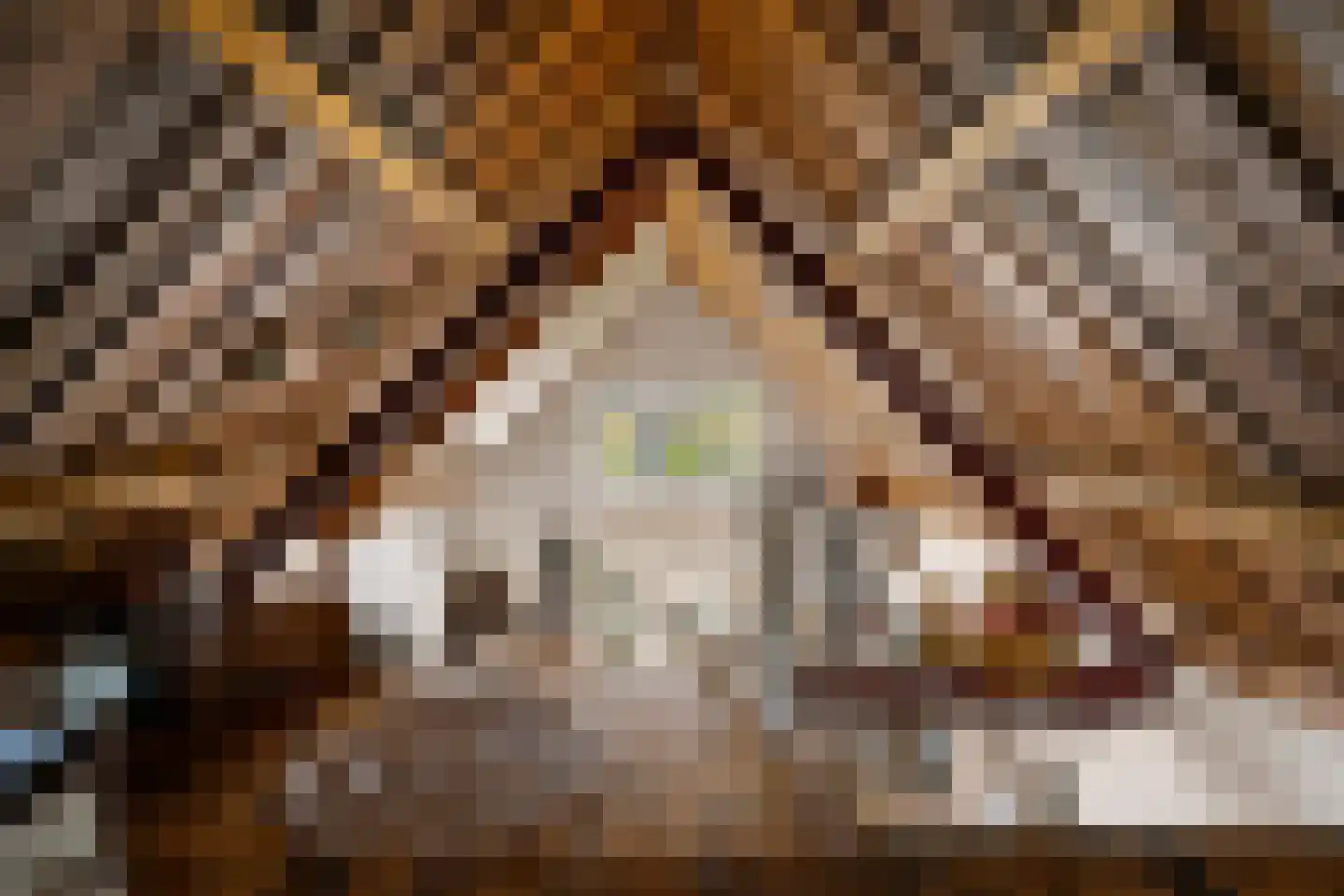 1e Kruisweg 8 Oud-Beijerland thumbnail 30