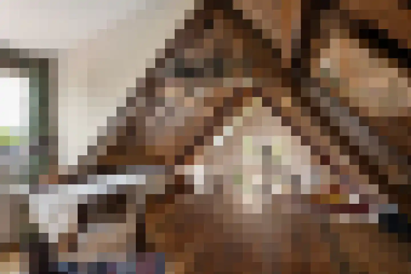 1e Kruisweg 8 Oud-Beijerland thumbnail 32