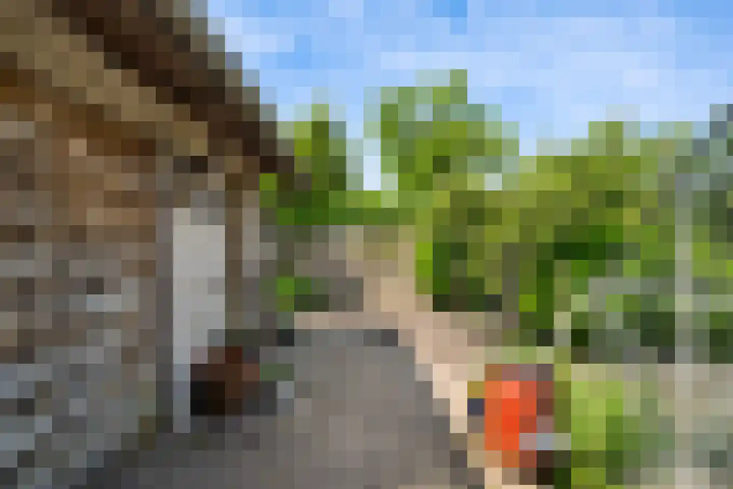 1e Kruisweg 8 Oud-Beijerland thumbnail 61