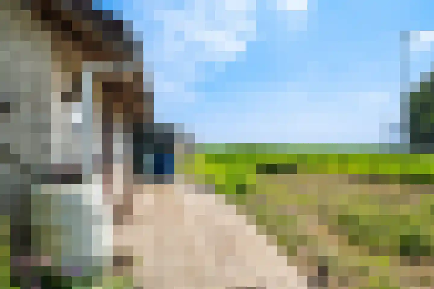 1e Kruisweg 8 Oud-Beijerland thumbnail 64