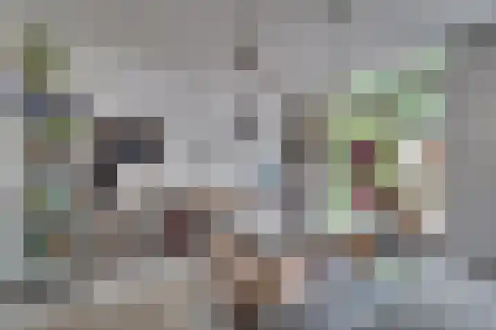 1e Lambertusstraat 27 Venlo thumbnail 13