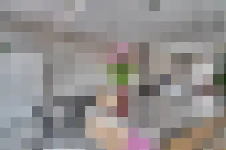 1e Lambertusstraat 27 Venlo thumbnail 17