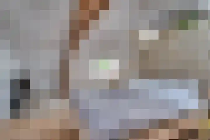 1e Lambertusstraat 27 Venlo thumbnail 31