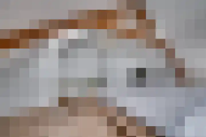1e Lambertusstraat 27 Venlo thumbnail 36