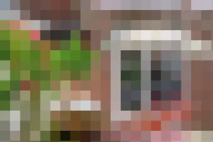 1e Lambertusstraat 27 Venlo thumbnail 39