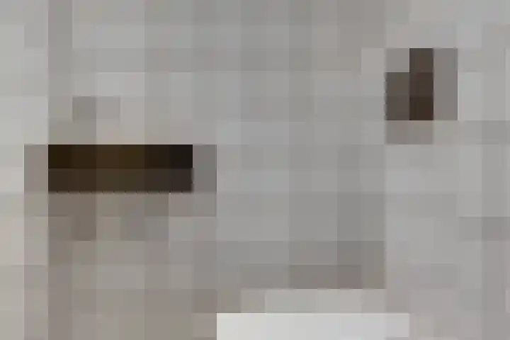 1e Lambertusstraat 27 Venlo thumbnail 4