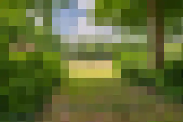 1e Lambertusstraat 27 Venlo thumbnail 46