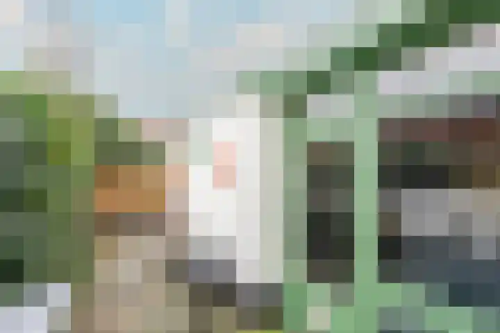 1e Landdwarsstraat 1 Alkmaar thumbnail 29
