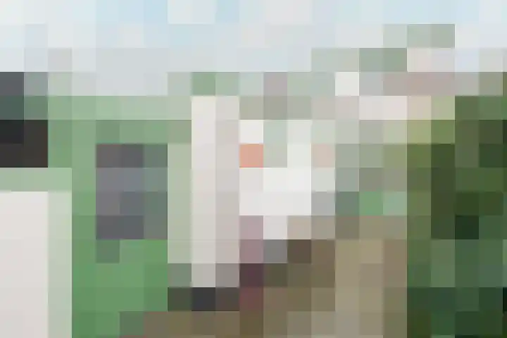 1e Landdwarsstraat 1 Alkmaar thumbnail 31
