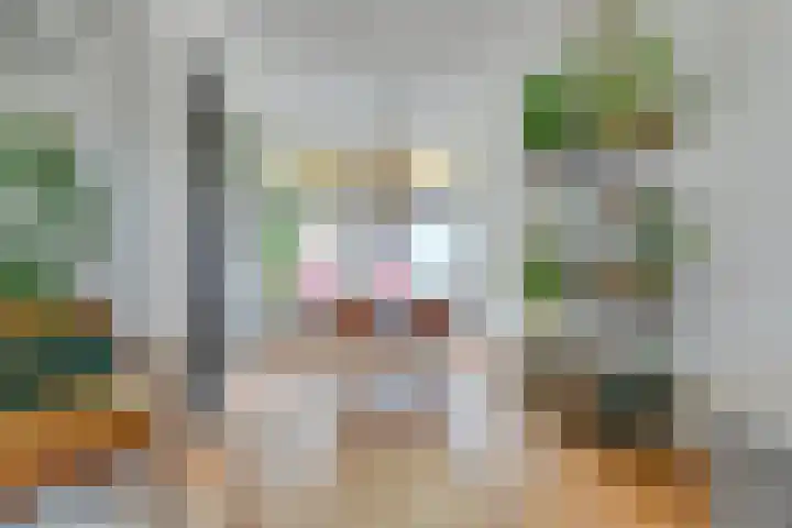 1e Landdwarsstraat 1 Alkmaar thumbnail 8