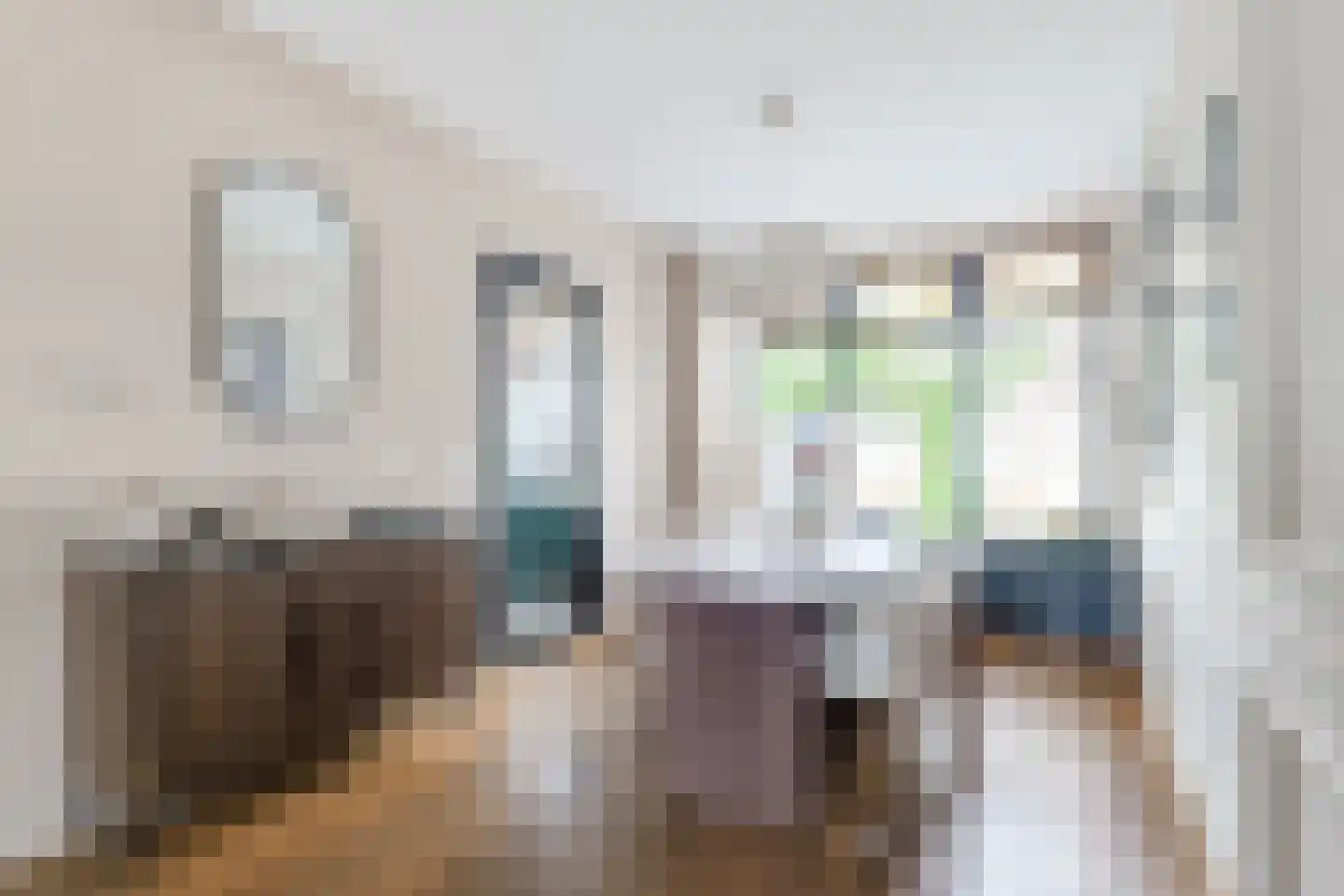 1e Landdwarsstraat 8 Alkmaar thumbnail 11