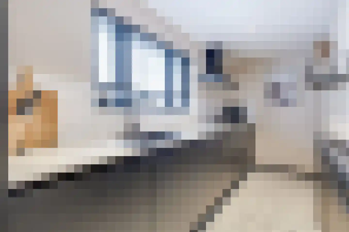 1e Landdwarsstraat 8 Alkmaar thumbnail 18