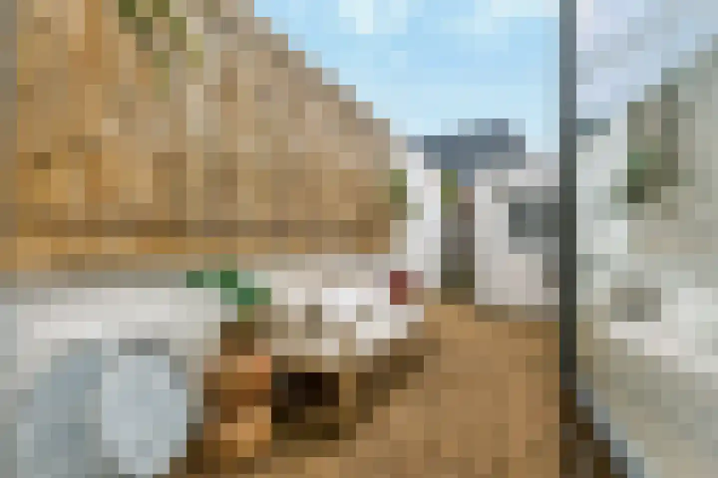 1e Landdwarsstraat 8 Alkmaar thumbnail 21