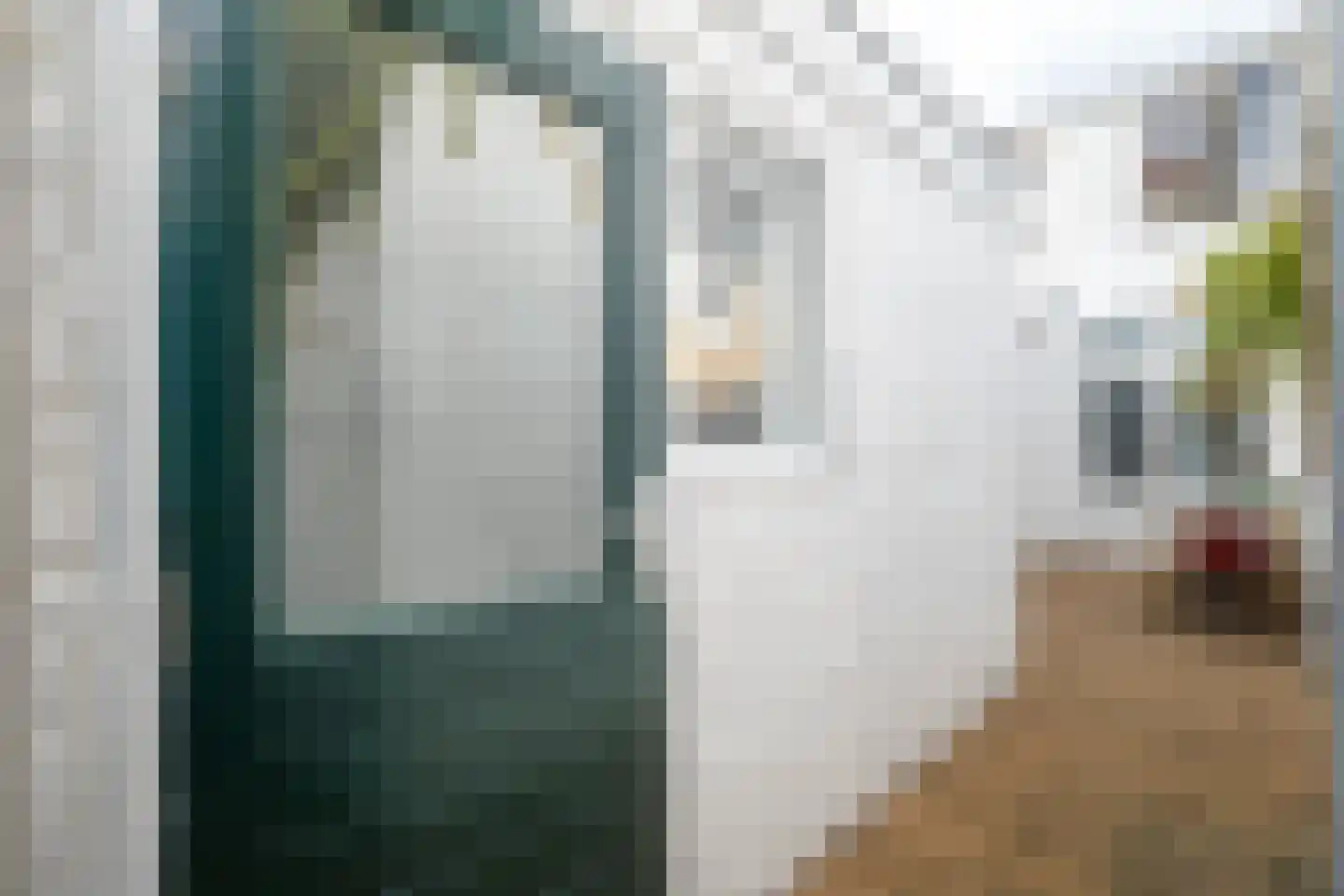 1e Landdwarsstraat 8 Alkmaar thumbnail 23