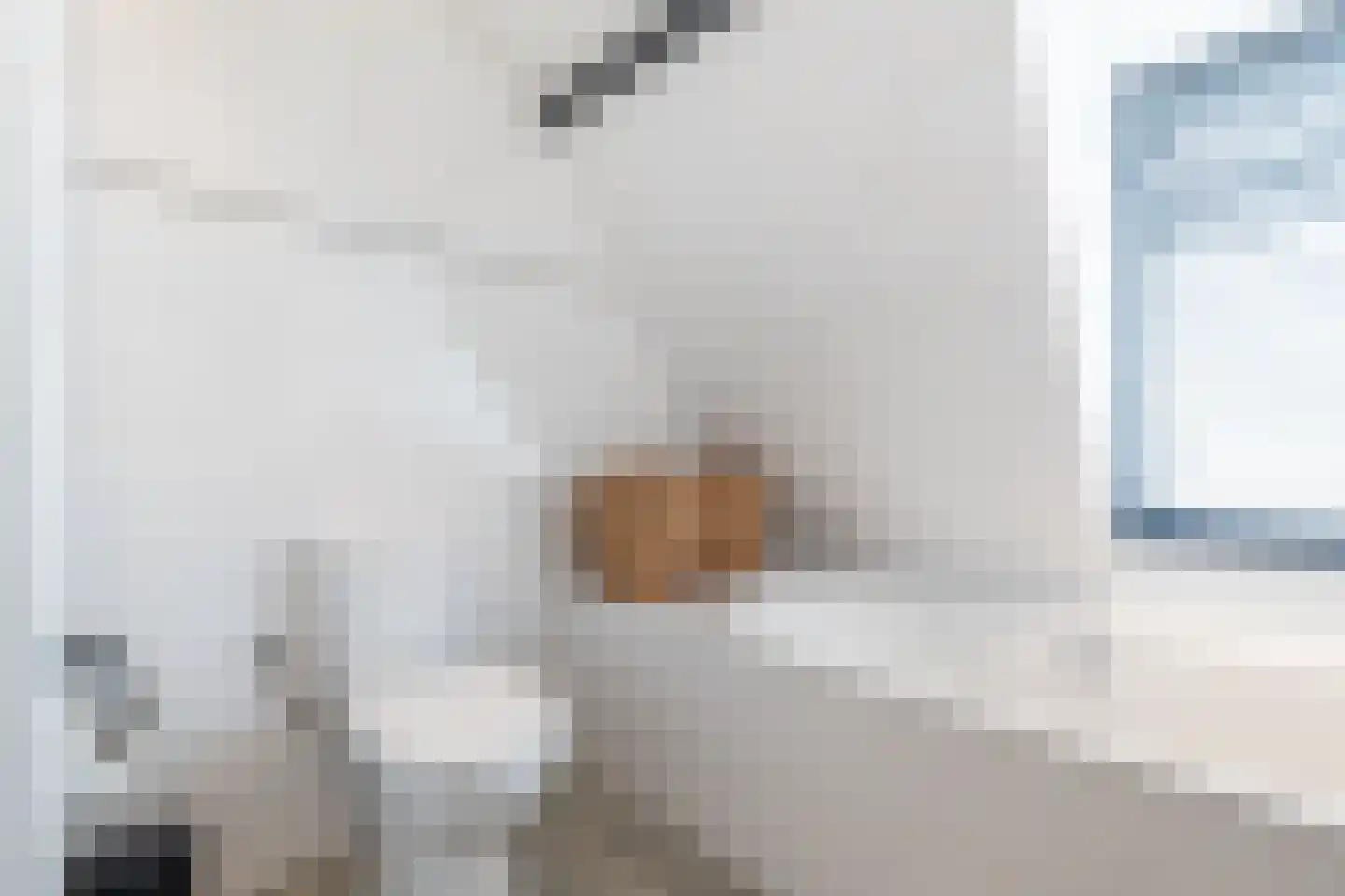 1e Landdwarsstraat 8 Alkmaar thumbnail 37