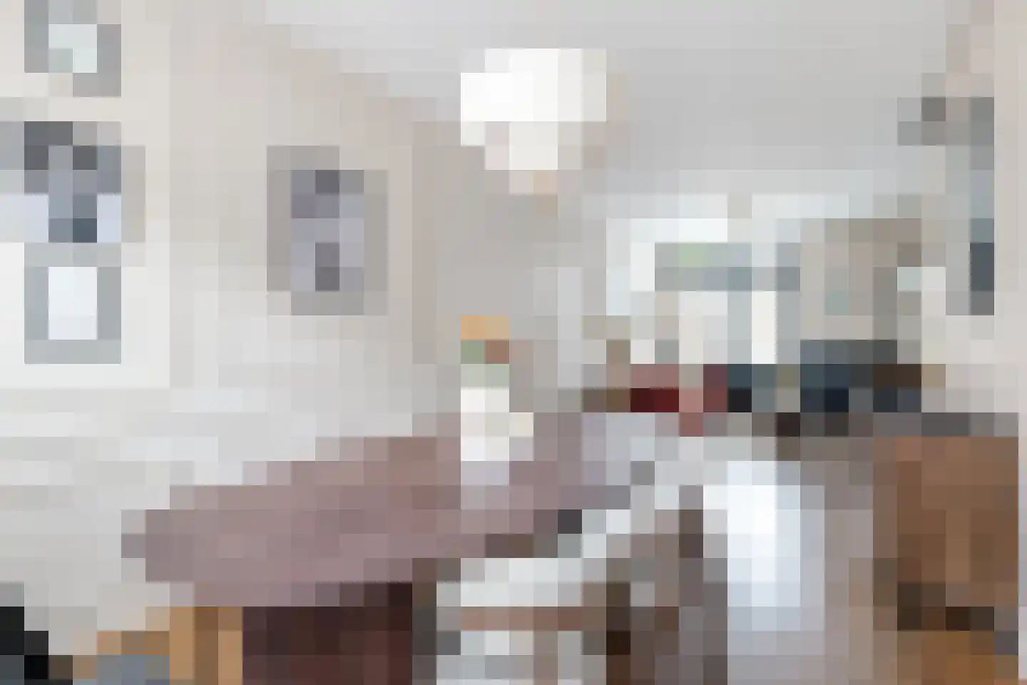 1e Landdwarsstraat 8 Alkmaar thumbnail 4