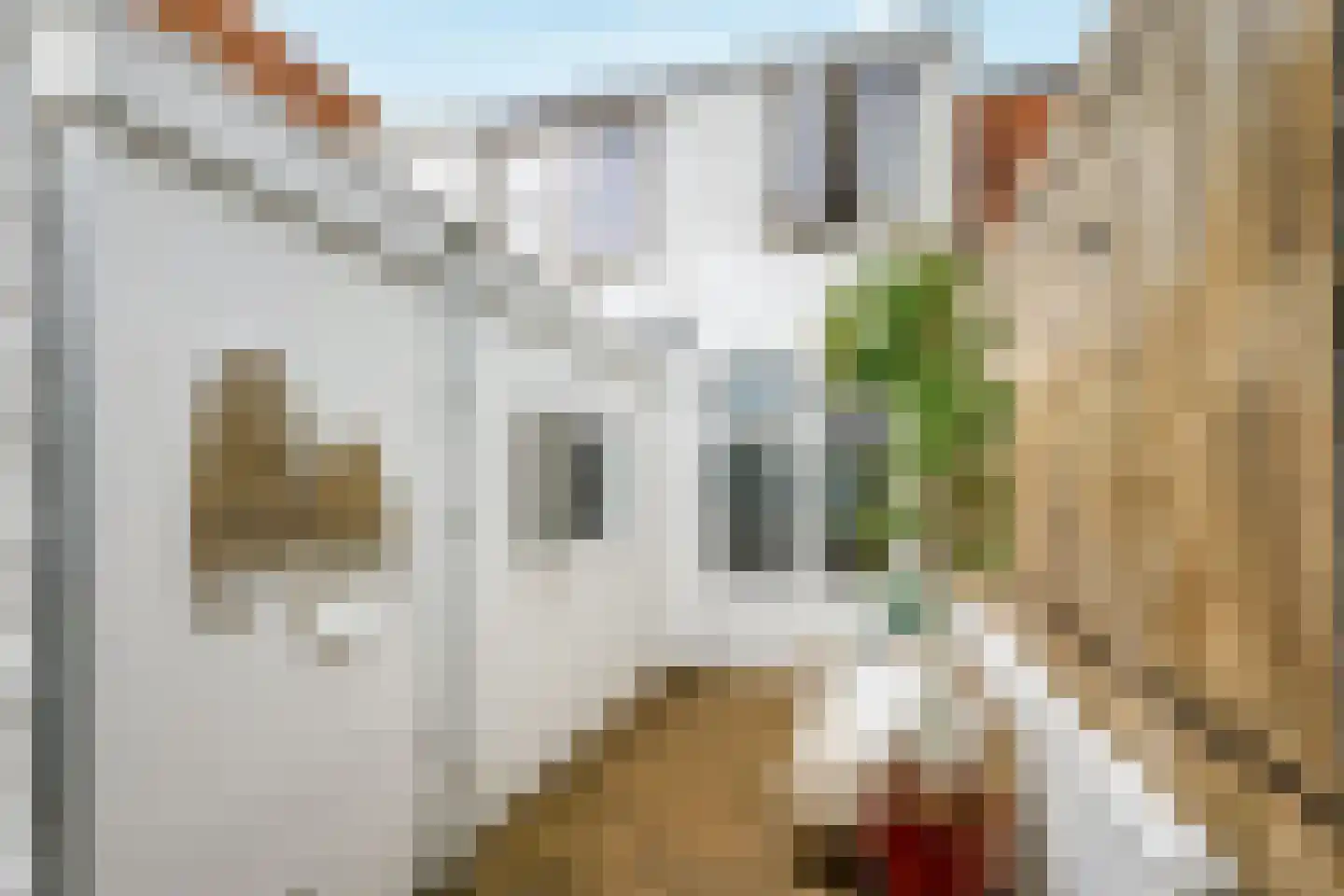 1e Landdwarsstraat 8 Alkmaar thumbnail 40