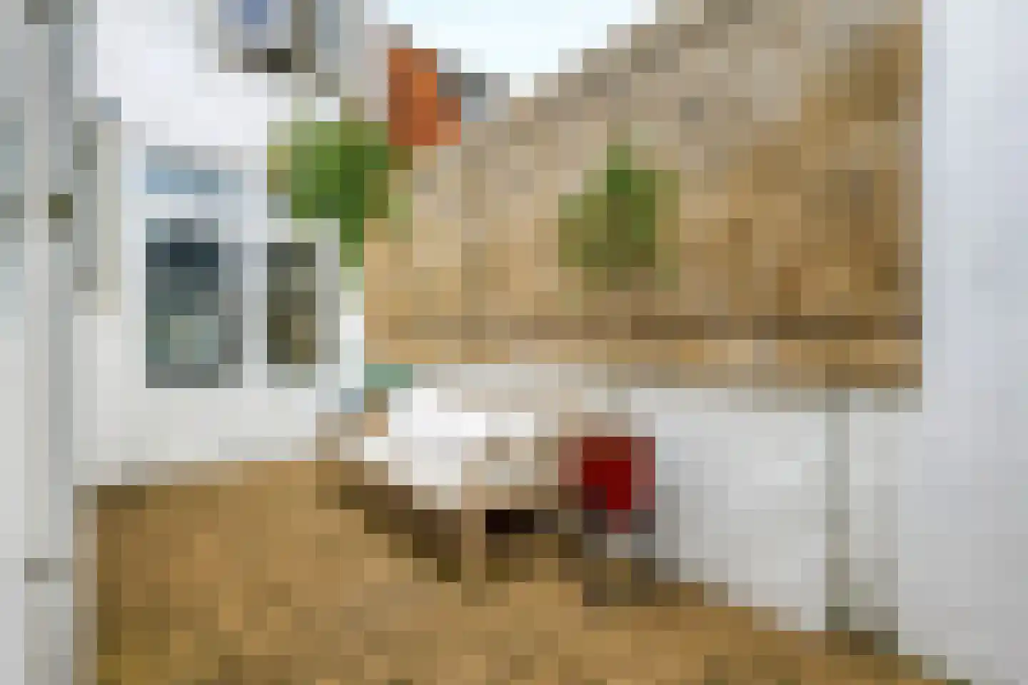 1e Landdwarsstraat 8 Alkmaar thumbnail 41