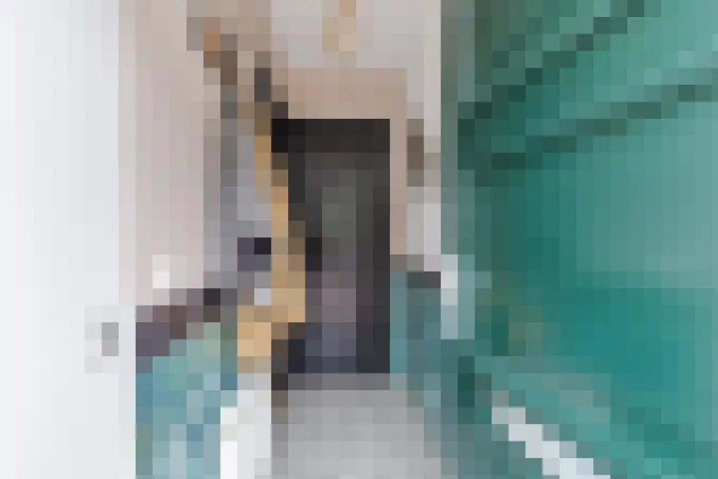 1e Landdwarsstraat 8 Alkmaar thumbnail 7