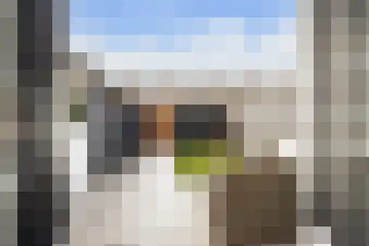 1e Lange Voren 13 Elst thumbnail 13