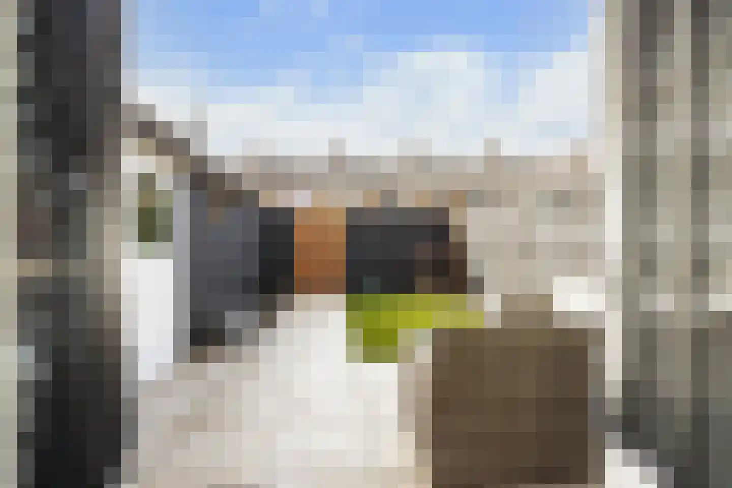 1e Lange Voren 13 Elst thumbnail 13