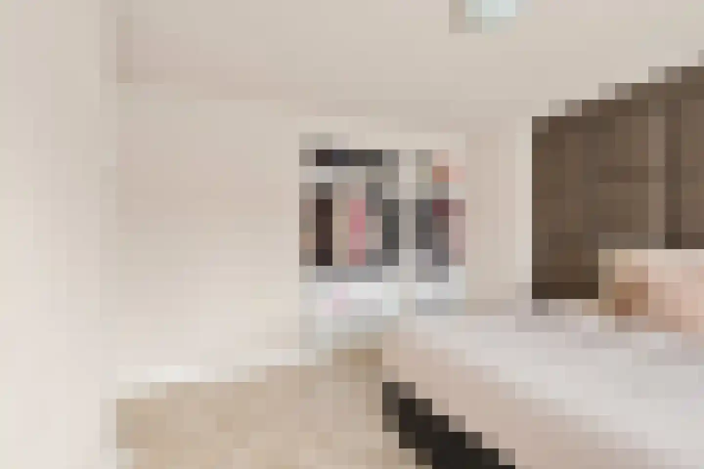 1e Lange Voren 13 Elst thumbnail 18