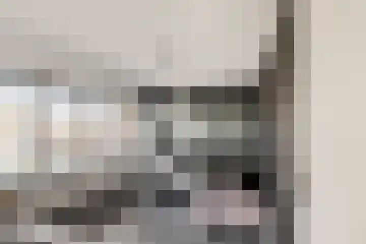1e Lange Voren 13 Elst thumbnail 19