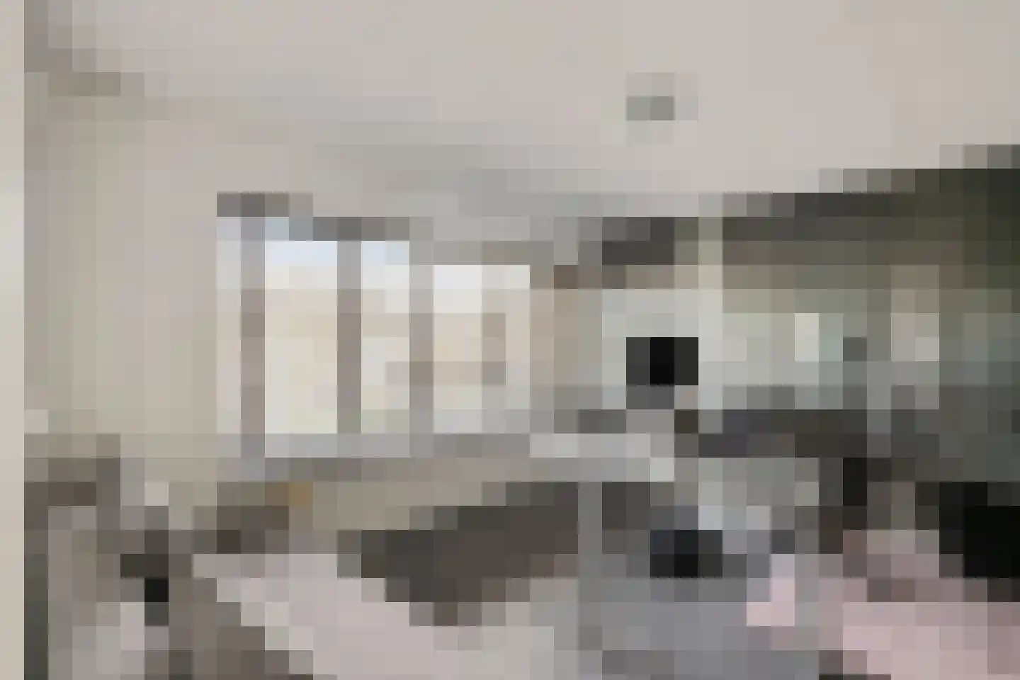 1e Lange Voren 13 Elst thumbnail 20
