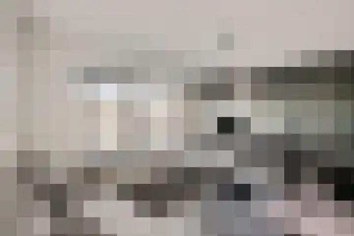 1e Lange Voren 13 Elst thumbnail 20