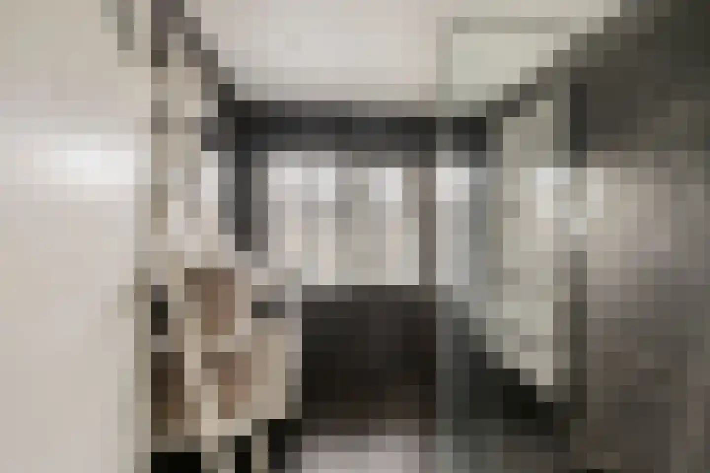 1e Lange Voren 13 Elst thumbnail 21