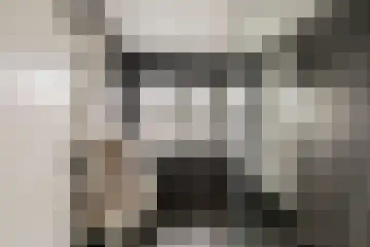 1e Lange Voren 13 Elst thumbnail 21
