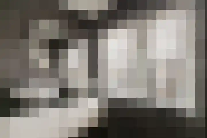 1e Lange Voren 13 Elst thumbnail 22
