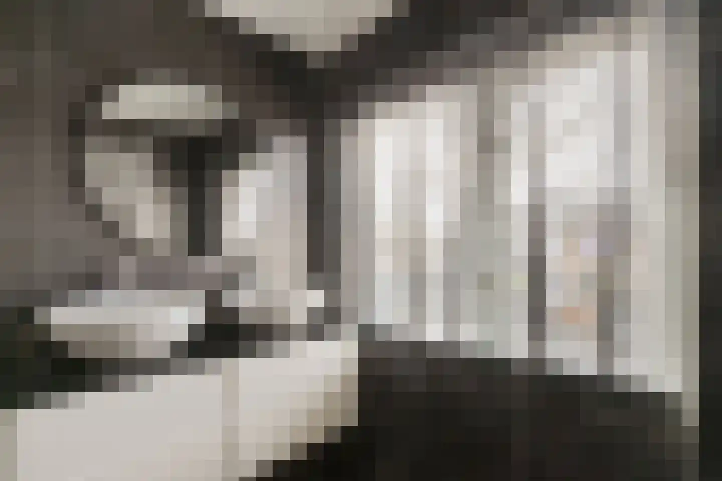 1e Lange Voren 13 Elst thumbnail 22