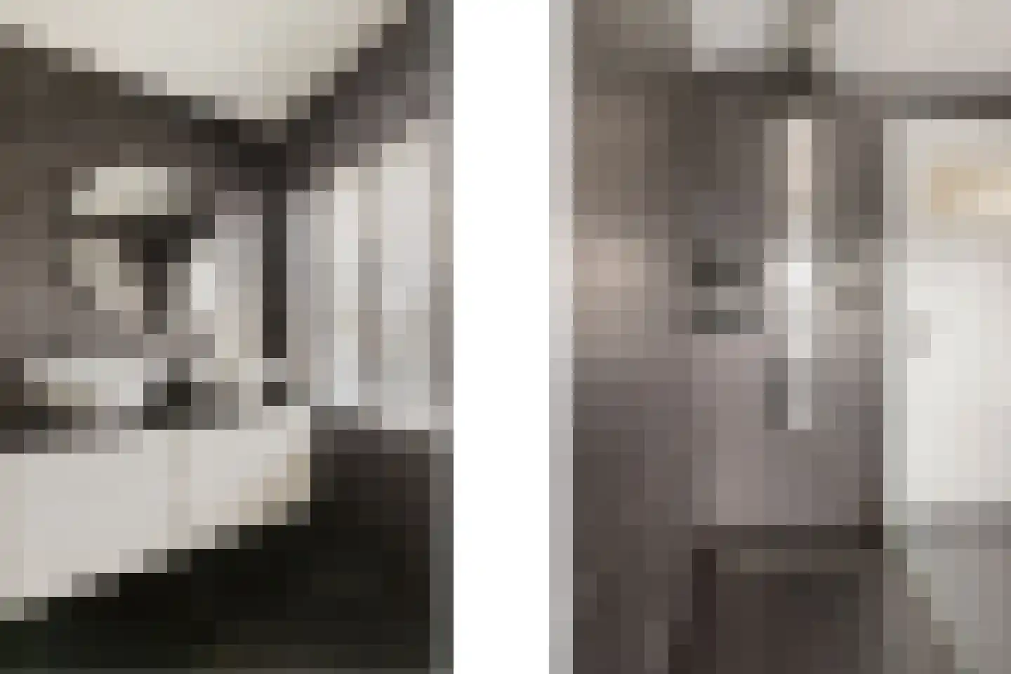 1e Lange Voren 13 Elst thumbnail 23