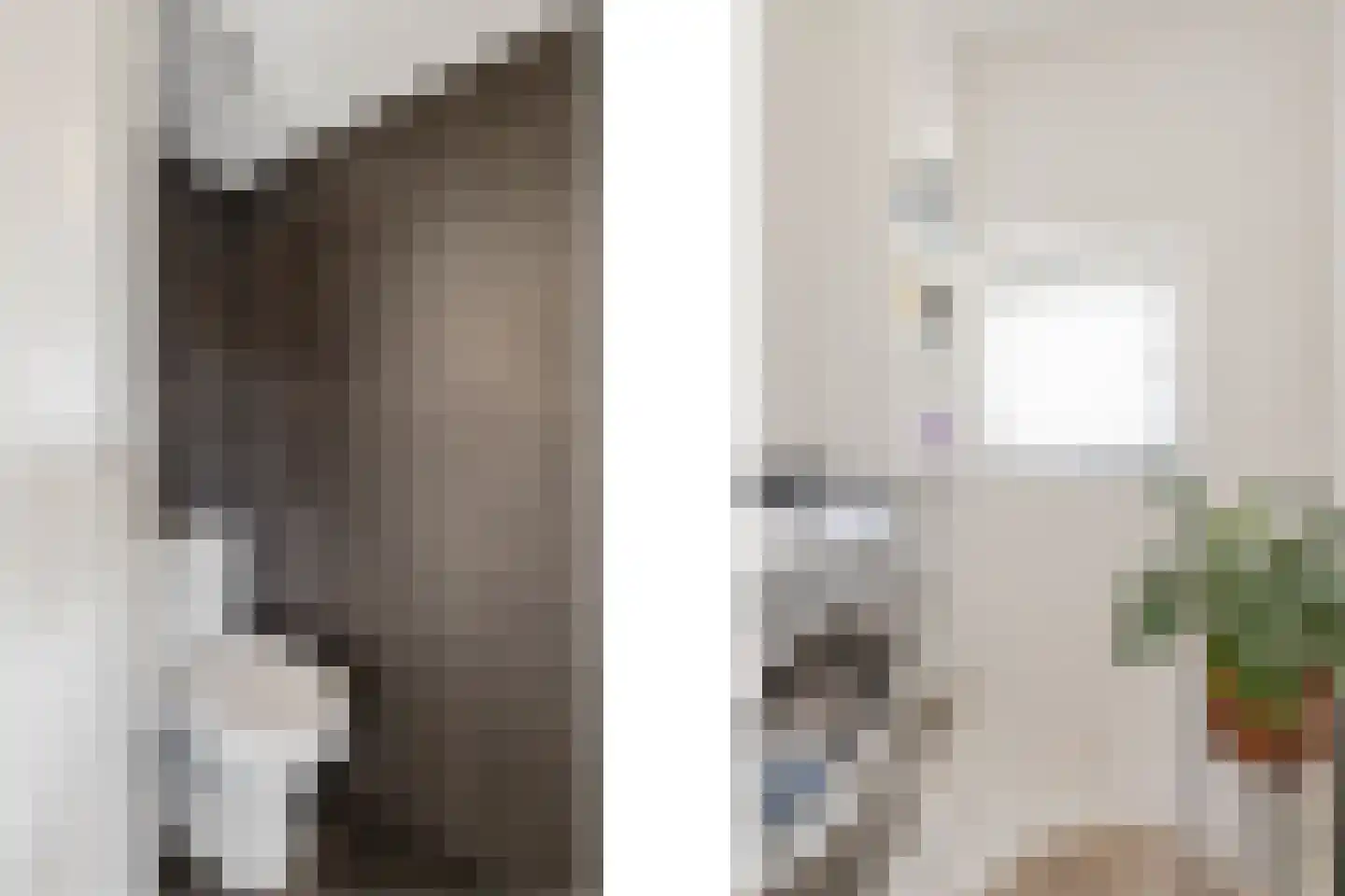 1e Lange Voren 13 Elst thumbnail 24