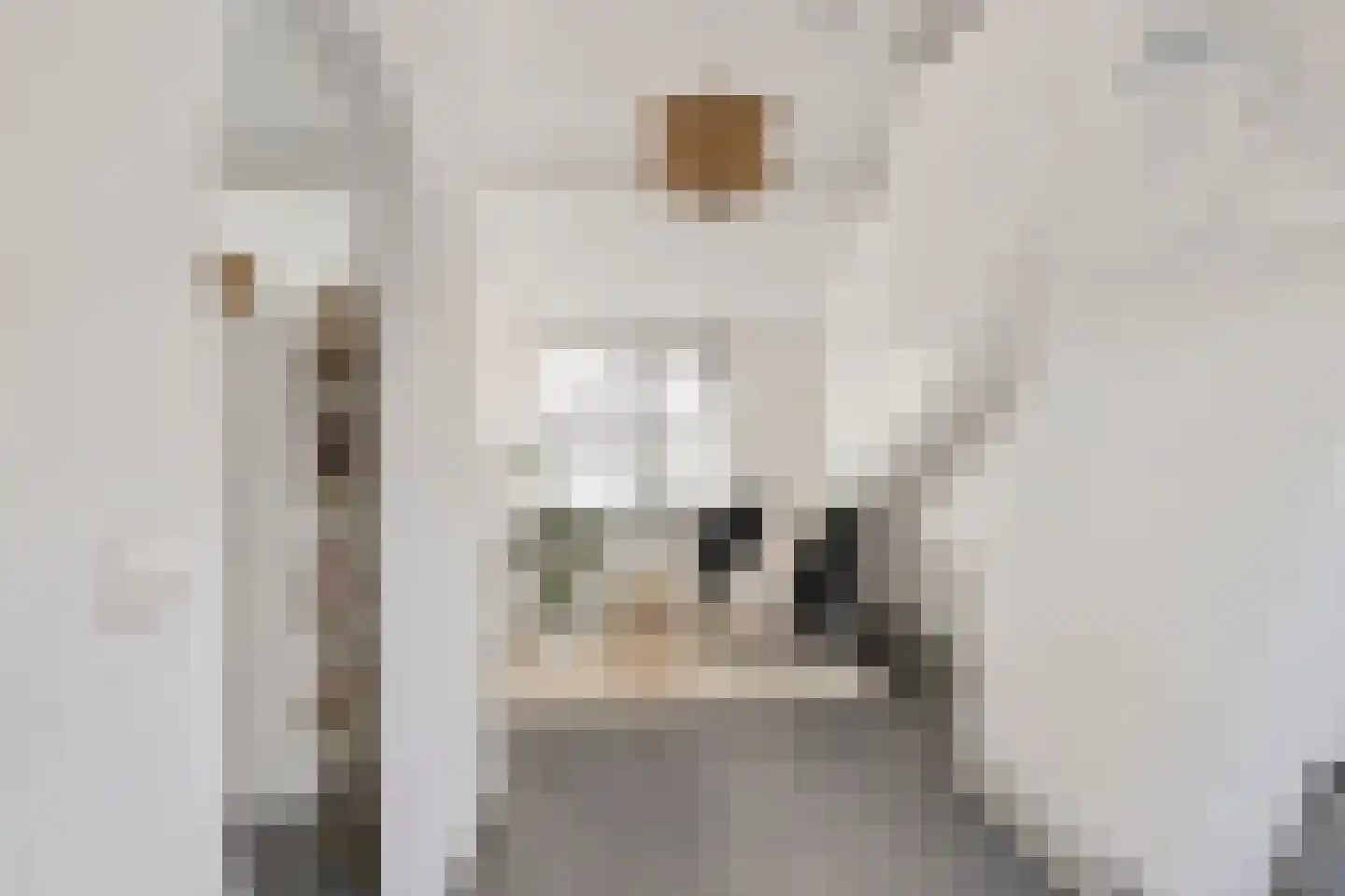 1e Lange Voren 13 Elst thumbnail 25