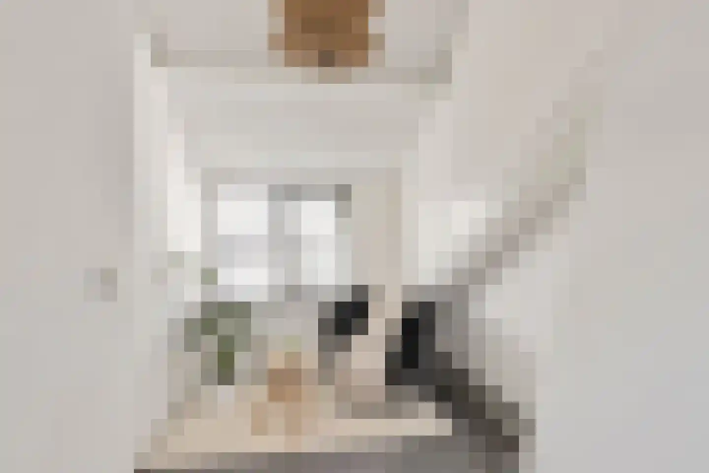 1e Lange Voren 13 Elst thumbnail 26