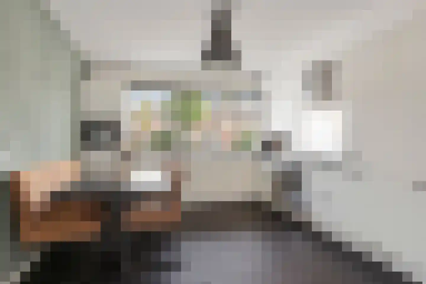 1e Lange Voren 13 Elst foto 3