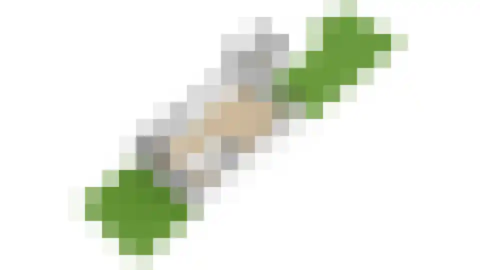 1e Lange Voren 13 Elst thumbnail 38