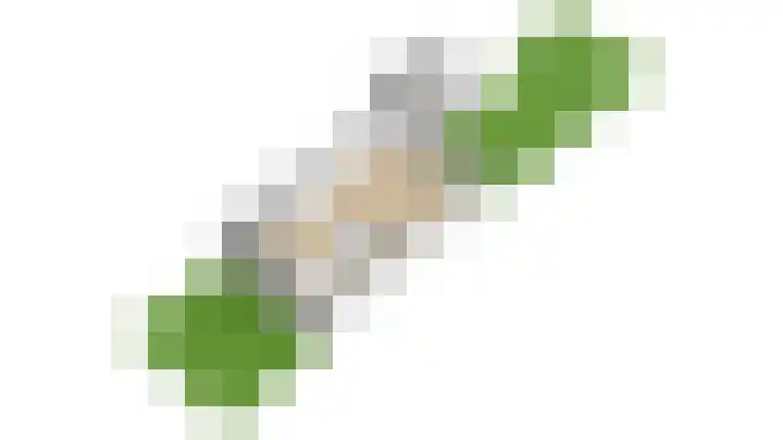 1e Lange Voren 13 Elst thumbnail 38