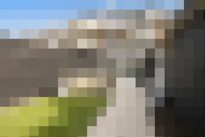 1e Lange Voren 13 Elst thumbnail 4