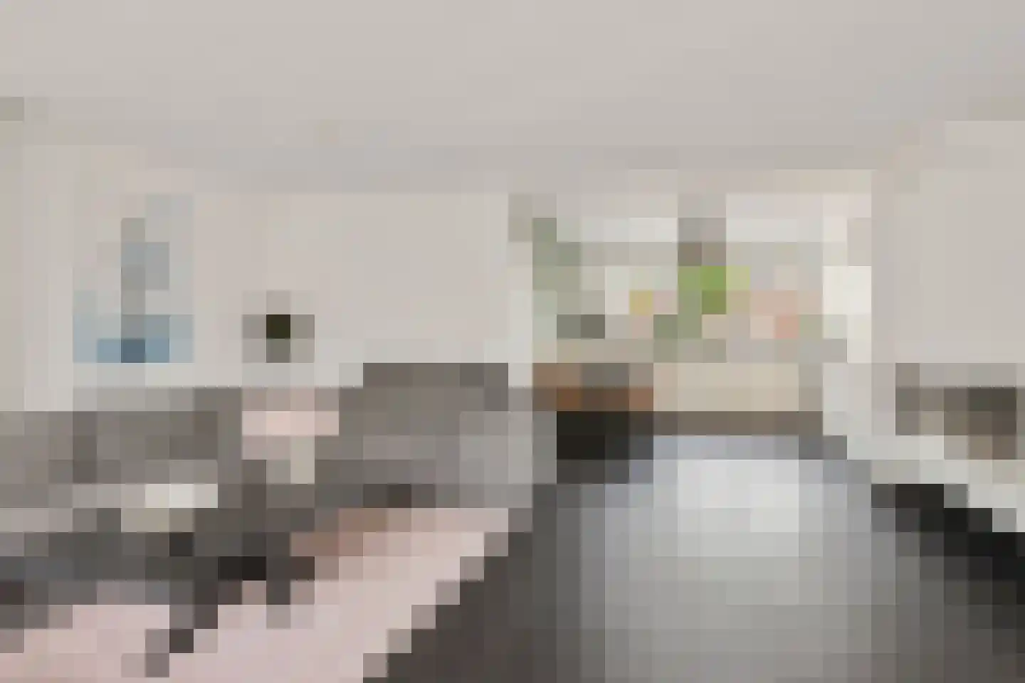 1e Lange Voren 13 Elst thumbnail 9