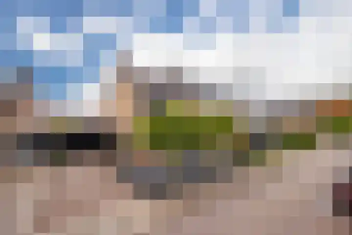 1e Lange Voren 4 Elst thumbnail 10