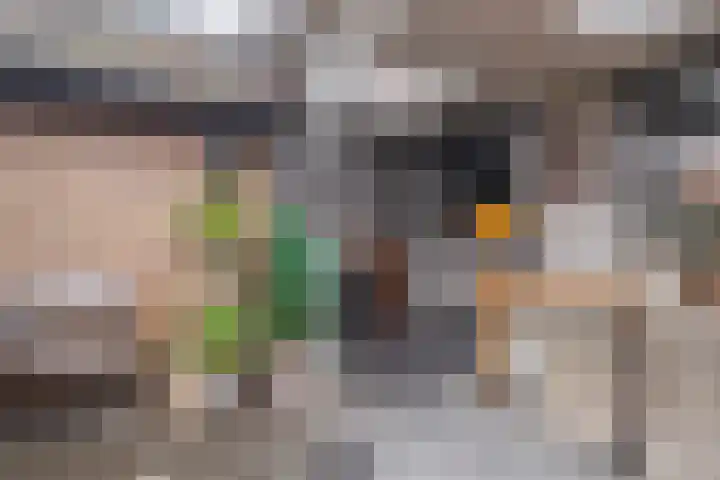 1e Lange Voren 4 Elst thumbnail 15
